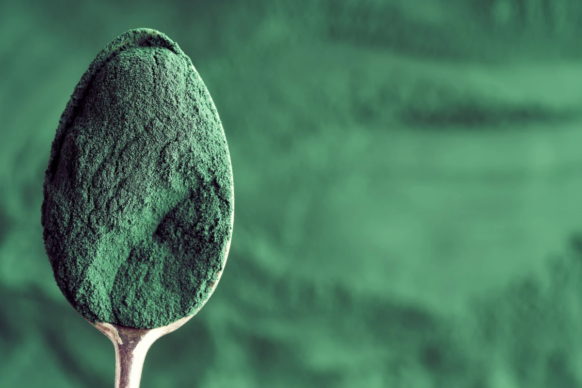 grassi nella spirulina
