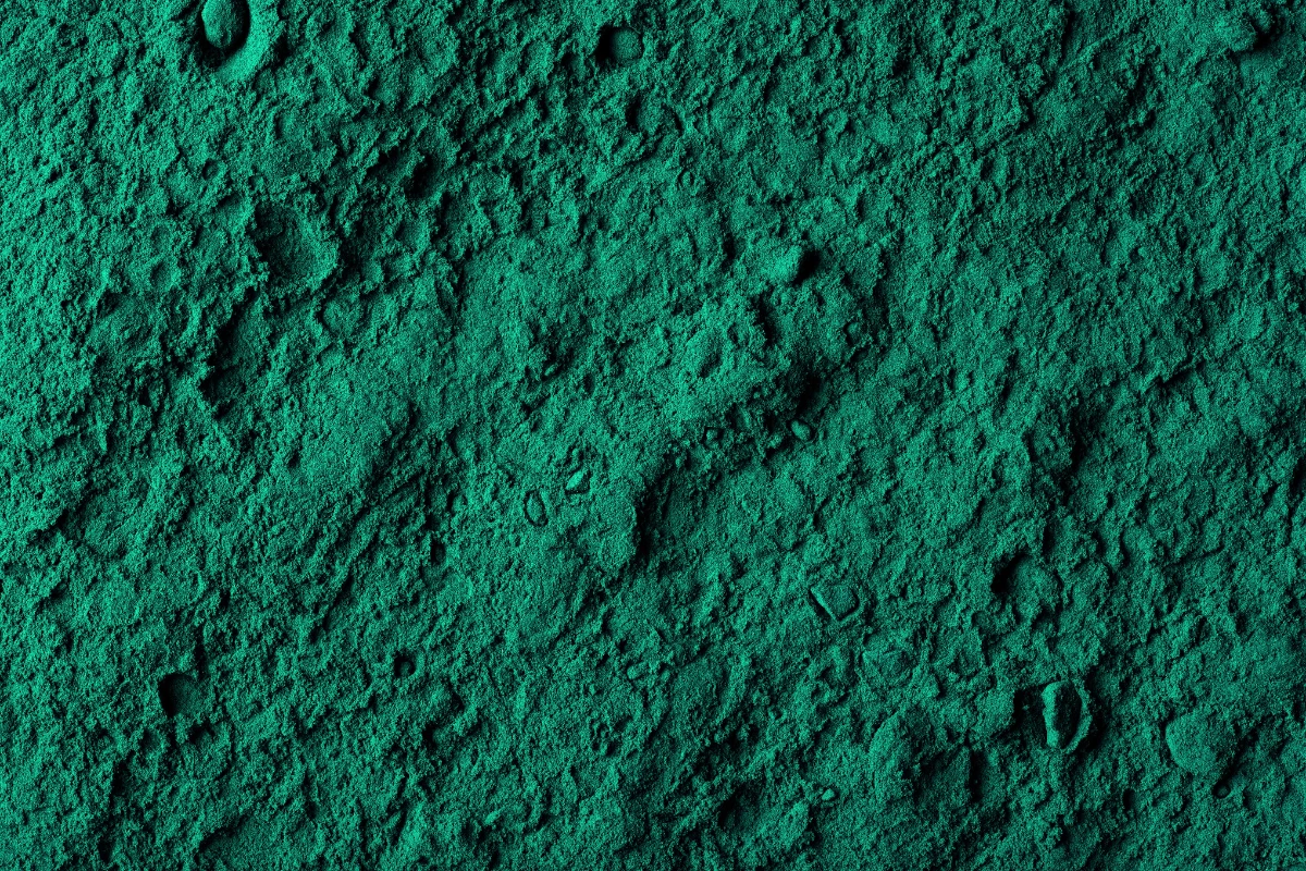 spirulina a stomaco vuoto o pieno