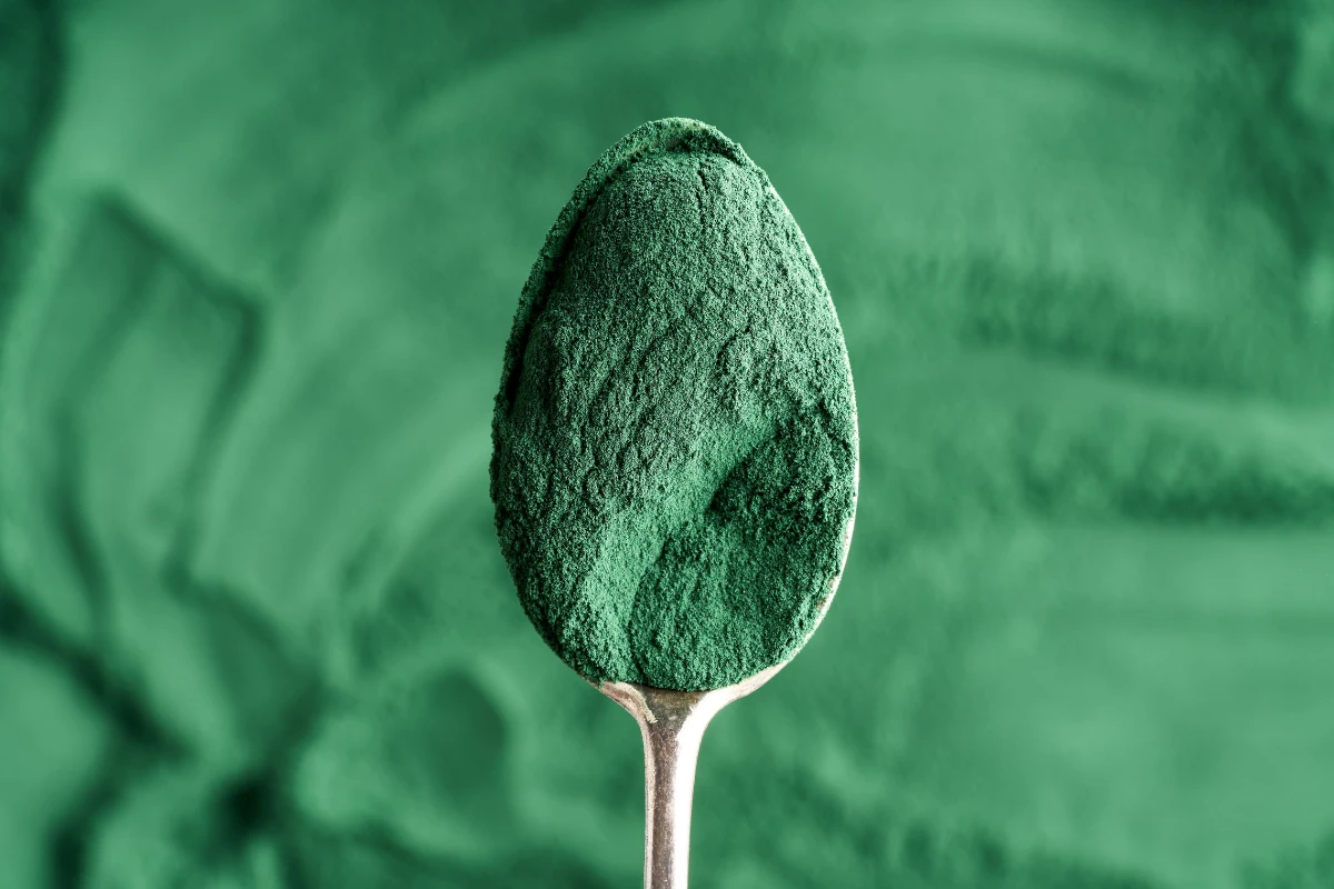 spirulina e microbiota intestinale