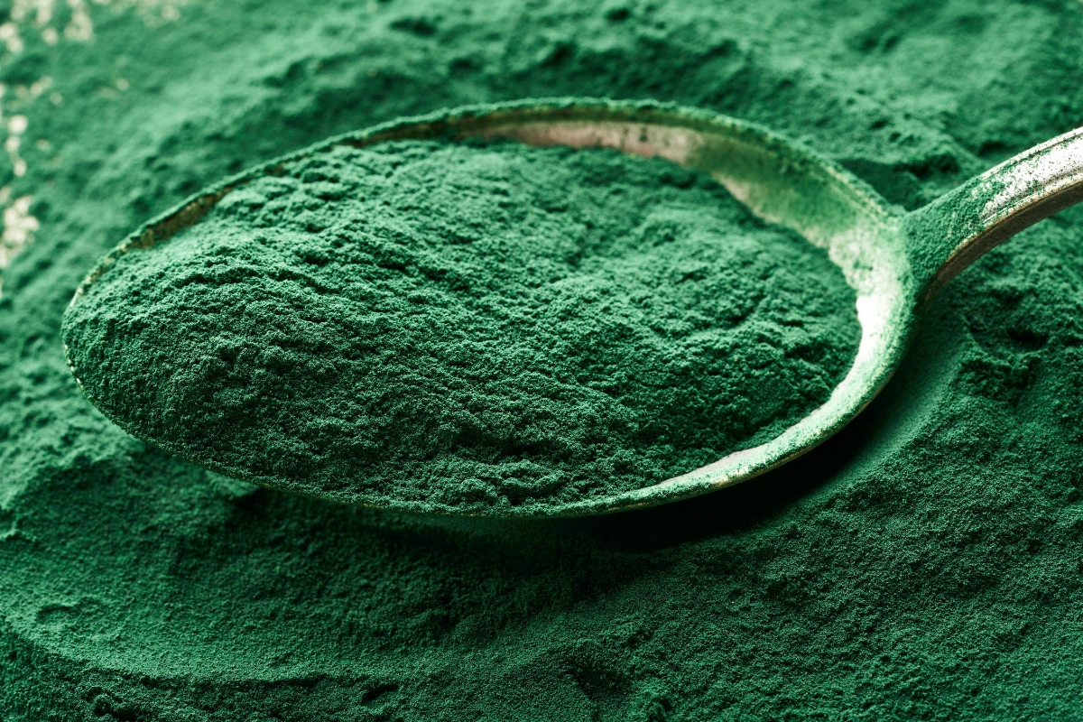 spirulina e religione
