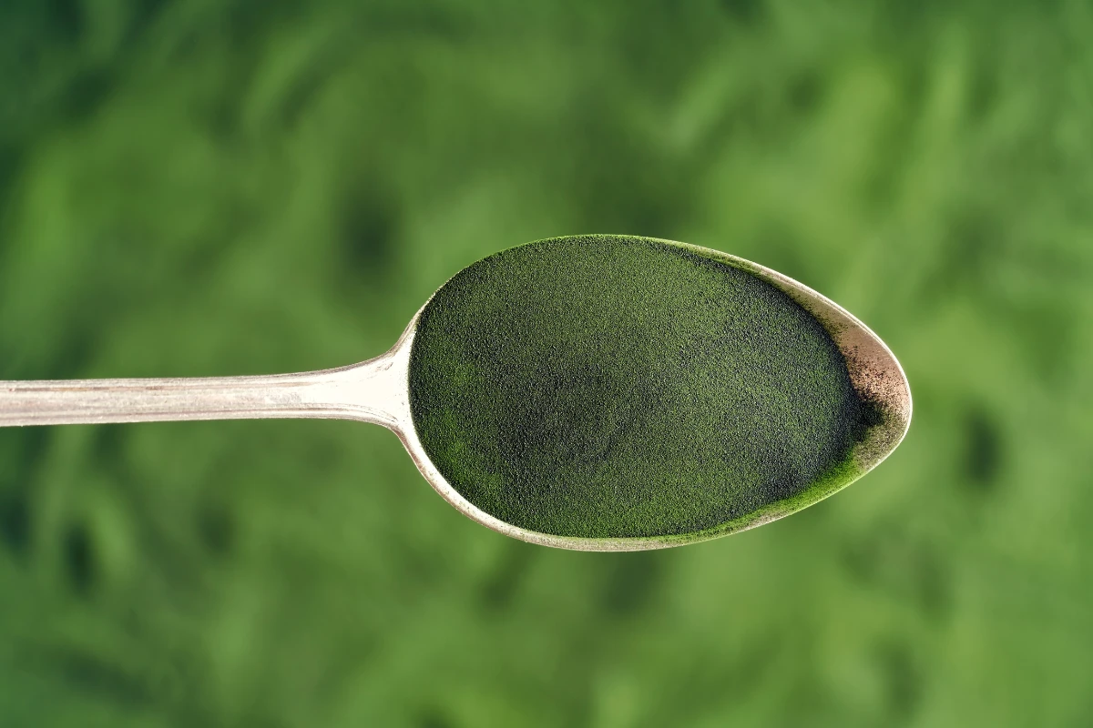 spirulina nel dibattito sui sistemi alimentari 2050