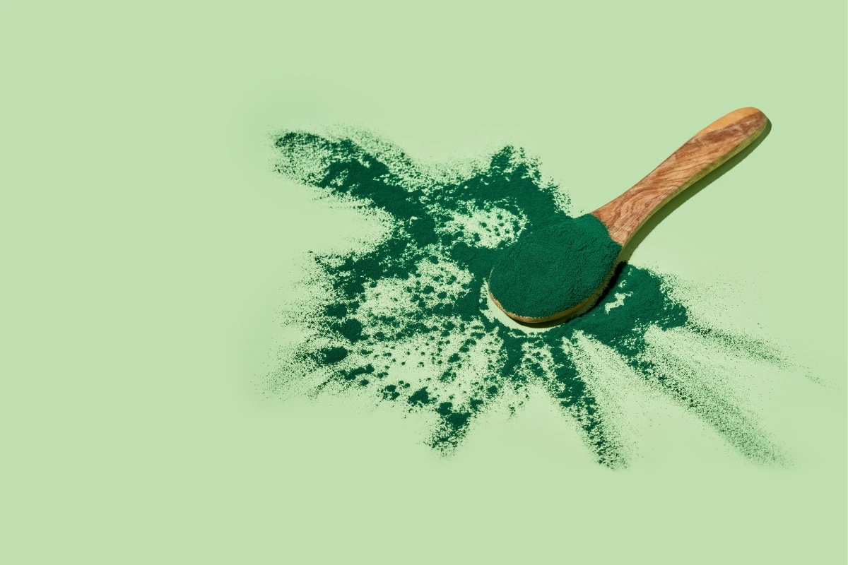 spirulina per uccelli domestici