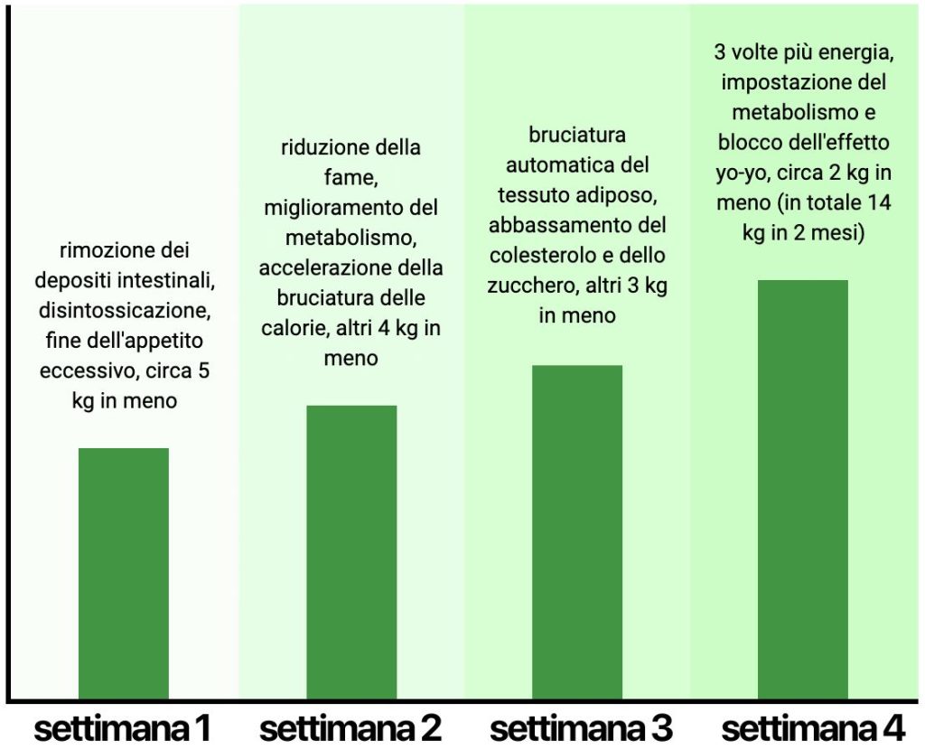 andamento 4 settimane jpg