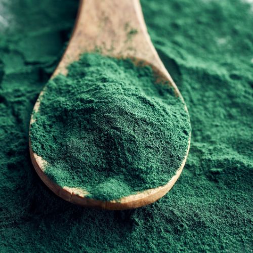 alga spirulina jpg